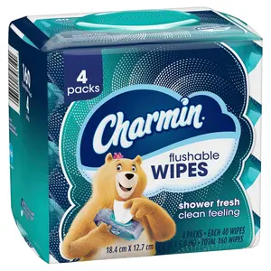 Charmin Flushable Wipes, 160 Total Wipes (4 Packs of 40) Toilet Sheets