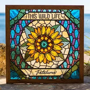 This Wild Life - Petaluma  [VINYL RECORD - LP] Colored Vinyl