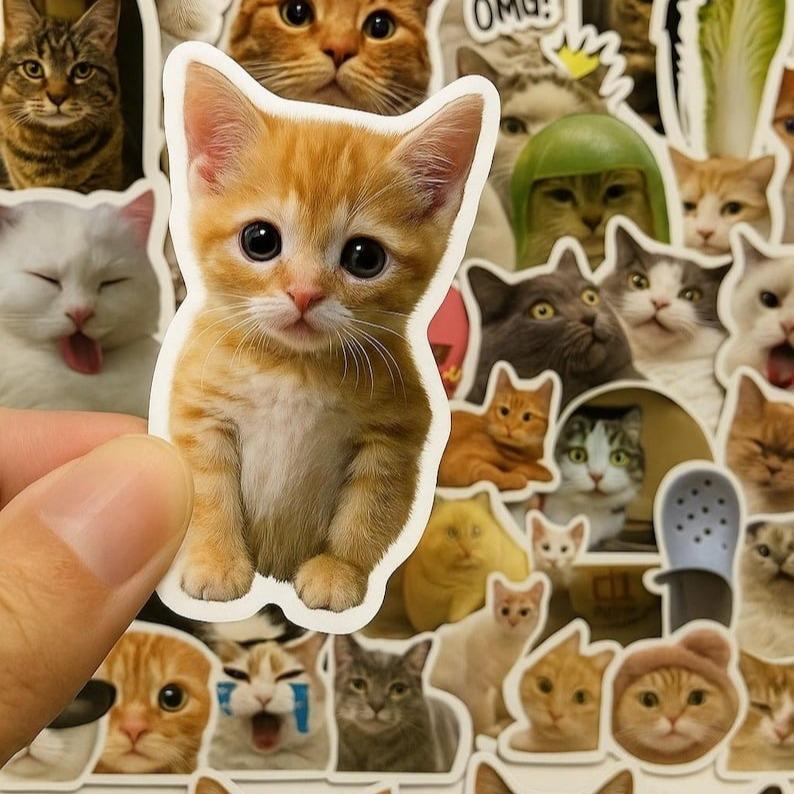 Cute And Funny Meme Stickers for Customers Who Place Orders at the Shop ...