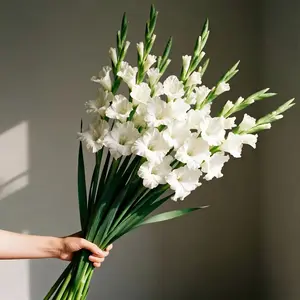 8pcs Artificial Gladiolus Orchid Flower Bouquet |   White Blooms & Green Foliage, Maintenance-Free Lifelike Stems for Weddings