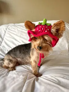 Hand-Crocheted Strawberry Pet Hat - Adorable Red Strawberry Style - Perfect Gift for Dogs & Cats - Ear Holes & Adjustable Strap