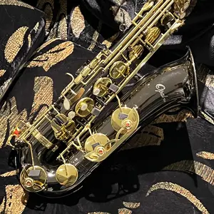 Opal OTS-500: Student Tenor Saxophone, Black Nickel