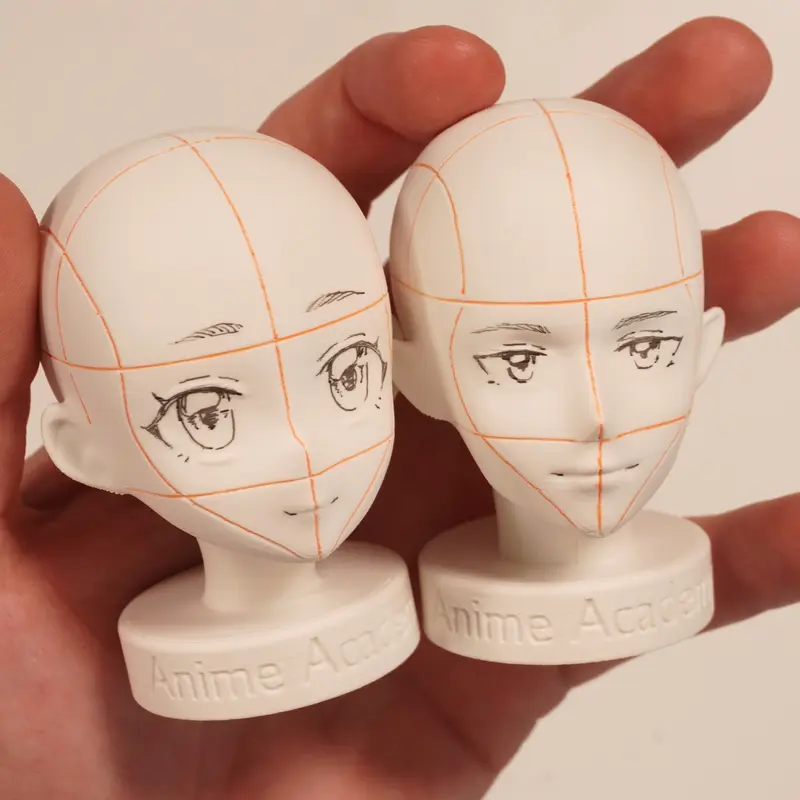 Anime Academy - Anime Head Reference Models Set of 2 Detailed Heads for Artistic Development and Design