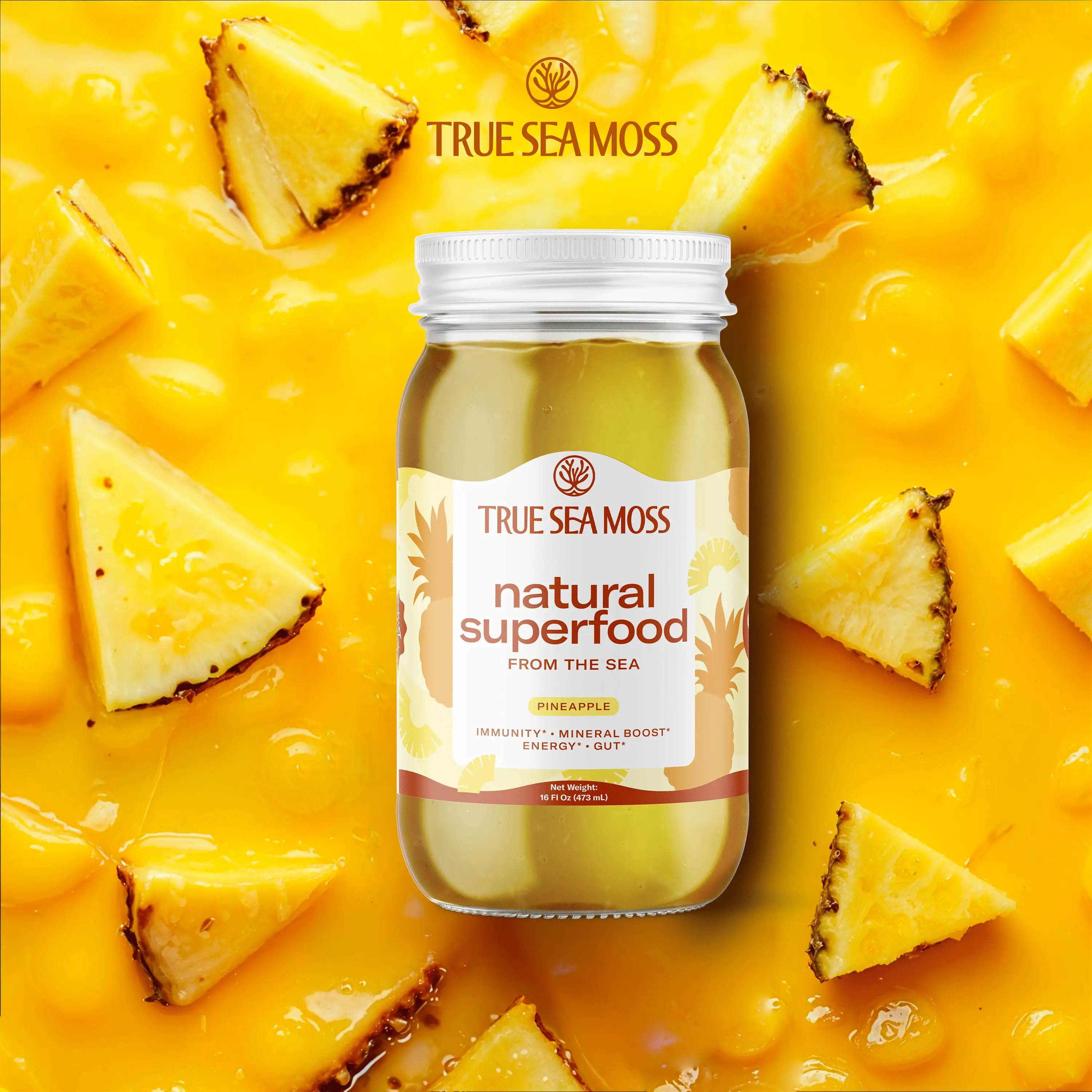 TrueSeaMoss Pineapple Irish Sea Moss Gel – Rich in Minerals & Vitamins –   suppo...