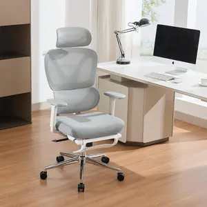 Ergonomic Mesh Office Chair with Footrest – Adjustable 3D Armrests, Headrest, Dynamic Lumbar Support, High Back Swivel, Reclining and Rocking Function, White Frame with Grey Mesh