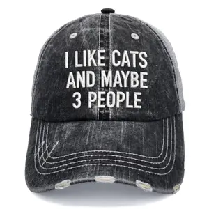 I Like Cats And Maybe 3 People Embroidered Trucker Hat