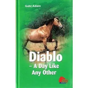 USED Book - Diablo: A Day Like Any Other by Gabi Adam (Hardcover) - english