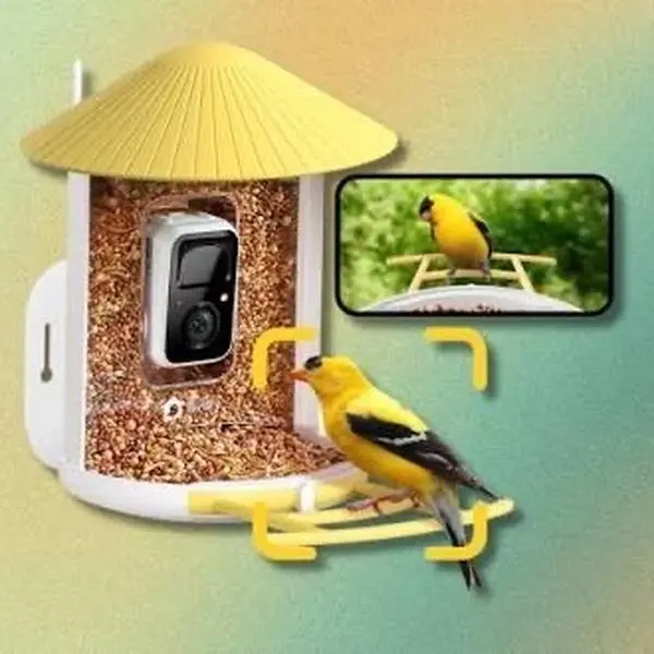 Birdfy Smart Bird Feeder Camera (yellow feeder)