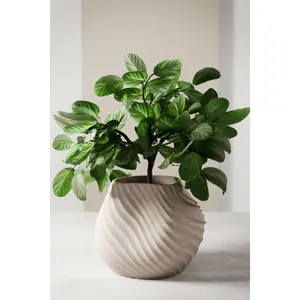 Sea Planter - Wavy Textured Pot for Modern Decor