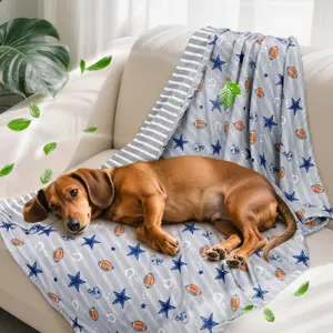 Lightweight Cooling Blanket Self Cooling Blanket For Small,Medium Dogs Ice Silk Summer Blanket For Crate&Kennel,Sofa