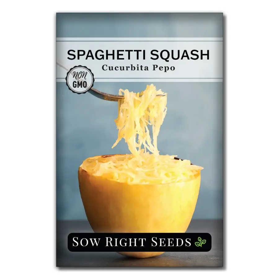 Spaghetti Squash