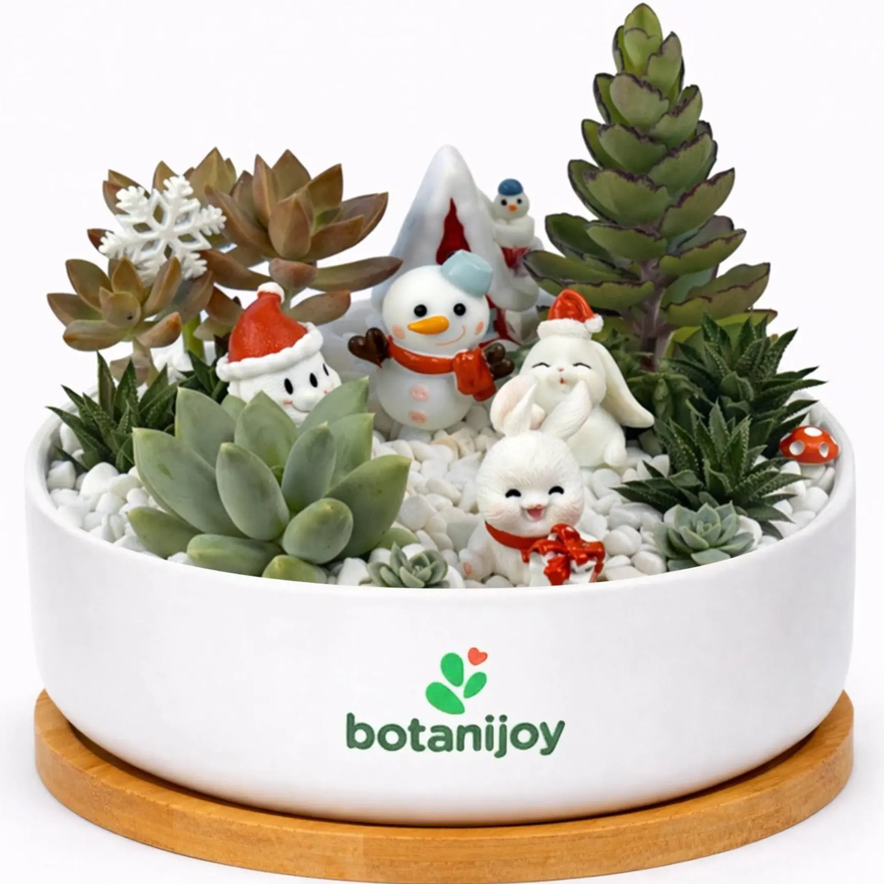 Botanijoy - Frosty Friends Tales Live Plant Succulent Kit - Indoor Home Decor for Plant Lovers, Garden Supplies