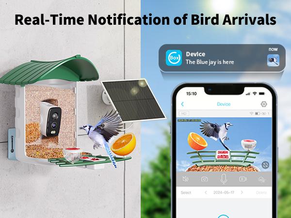 4G LTE Cellular Camera with Bird Feed, 1 Year Trial AI Identify HD Bird Watching Camera, 4 DIY Add-ons, Bird House with Solar Panel for Outdoor, 7800mAh Battery, Suitable for Bird Lover（4G DATA REFILL Required）