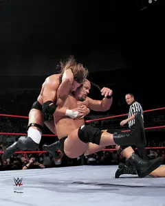 Stone Cold" Steve Austin WWE Unsigned Stunner on Triple H Photograph