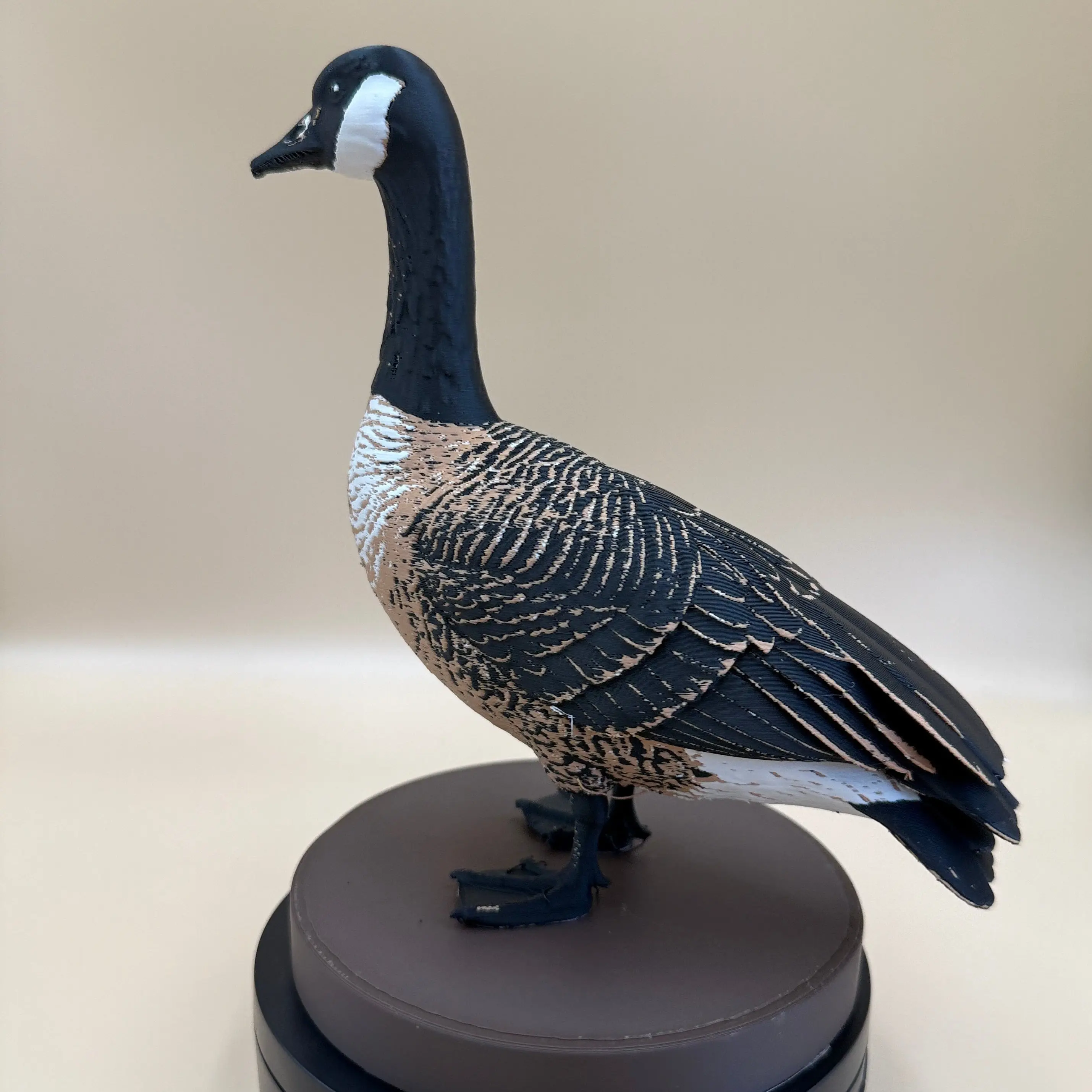 Marsh-Warden Canada Goose  - Indoor Only