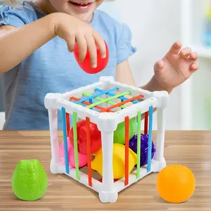 Montessori Educational Fine Motor Toy for Babies 6-18 Months, Includes 6 Sensory Balls and 3 Soft Balls, Learning Sorting Box, Multi Activity Playset