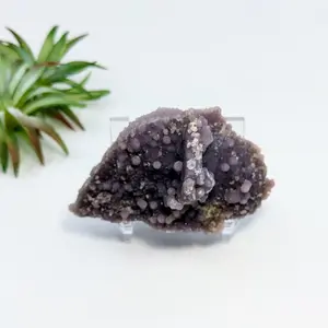 Grape Agate 3.3" Cluster Specimen #LV6804