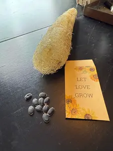 Luffa Seeds