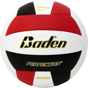 Baden | Perfection | Premium Leather | Indoor Official Game Volleyball | 13U to College | Official Size + Weight | NFHS + AVCA Approved