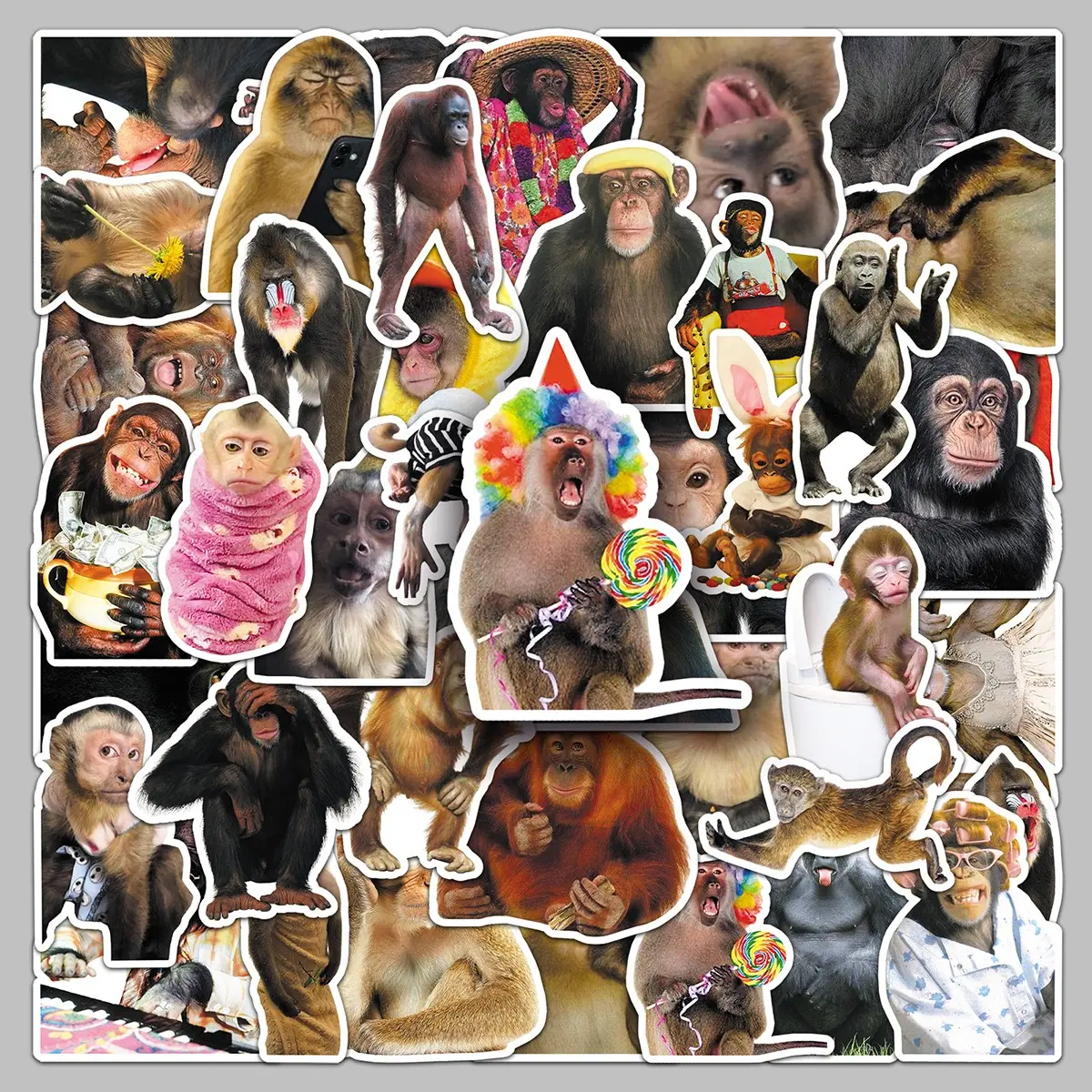 50pcs crazy monkey cartoon animal creative stickers diy car bike helmet personality decorative stickers Car Decals Decal For Cars Decal Set