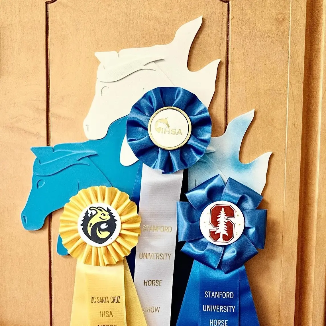 Horse Show Ribbon Hanger | Unique, Trendy, and Infinitely Stackable Hanging Organiser