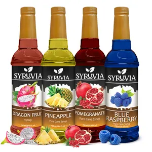 Syruvia Fruit Flavors Variety Pack – Dragon Fruit, Pineapple, Pomegranate & Blue Raspberry Syrup – Perfect for Cocktails, Lemonade,  Iced Tea & Beverages – 25.4 Fl oz Bottles (4 Pack)