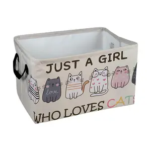 Just a girl Cute Cat Pattern Storage Baskets Storage Boxes Home Decor Storage Clothes Organization And Storage Home Decor Storage Holiday Gifts, Shelf Baskets, Organizer for Toys, Books, Pet Lovers Home Decor, Laundry Hamper, Laundry Basket