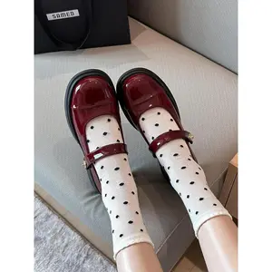 Women's Fashionable Solid Color Mary Jane Pumps, 2024 New Style Elegant Round Toe Thick Heel Shoes for Daily Wear, Female All-match Shoes for Daily Wear
