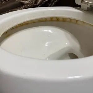 Snofrid Disposable Toilet Brush, Toilet Bowl Wand Holder Set with 24PCS Cleaner Refills, Bathroom Cleaning System for Sink Bathtub Drain Wash Basin Urinal，Wall-Mount Scrubbing Toilet Brush Bathroom Cleaning Kit