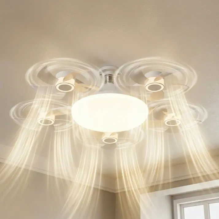 Five fans