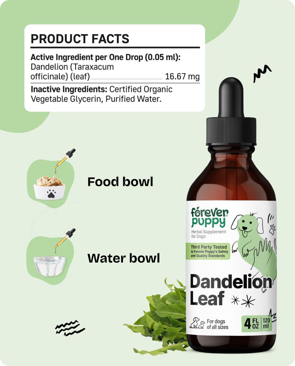 Dandelion Leaf Drops for Dogs - Liquid Kidney Health Supplement for Large, Medium & Small Dogs - Kidney Cleanse Detox Drops w/Dandelion Leaves Extract - 4 oz Dandelion Leaf Drops for Dogs - Liquid Kidney Health Supplement for Large, Medium & Small Dogs - Kidney Cleanse Detox Drops w/Dandelion Leaves Extract - 4 oz