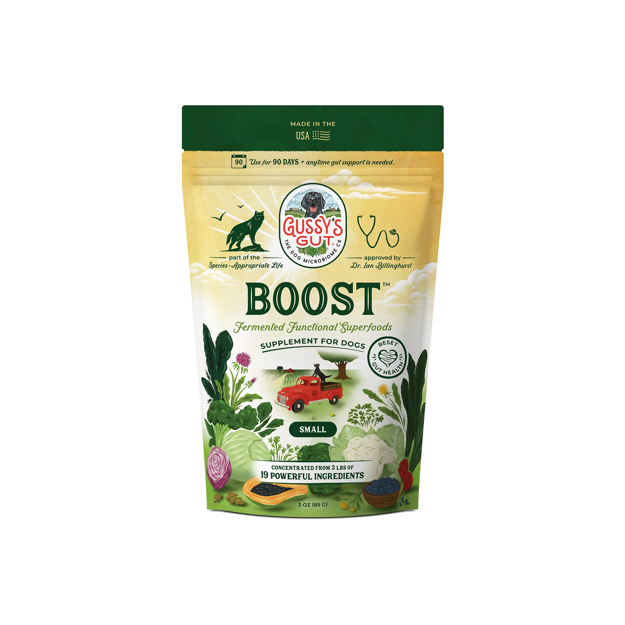 GUSSY'S GUT BOOST 1 Boost - 3 oz Pack, Organic Daily Dog Gut Support Supplement with Kale, Wild Blueberries, Cabbage, Fermented Superfoods for Digestion, Immunity, Stamina, All Life Stages 90-Day Reset