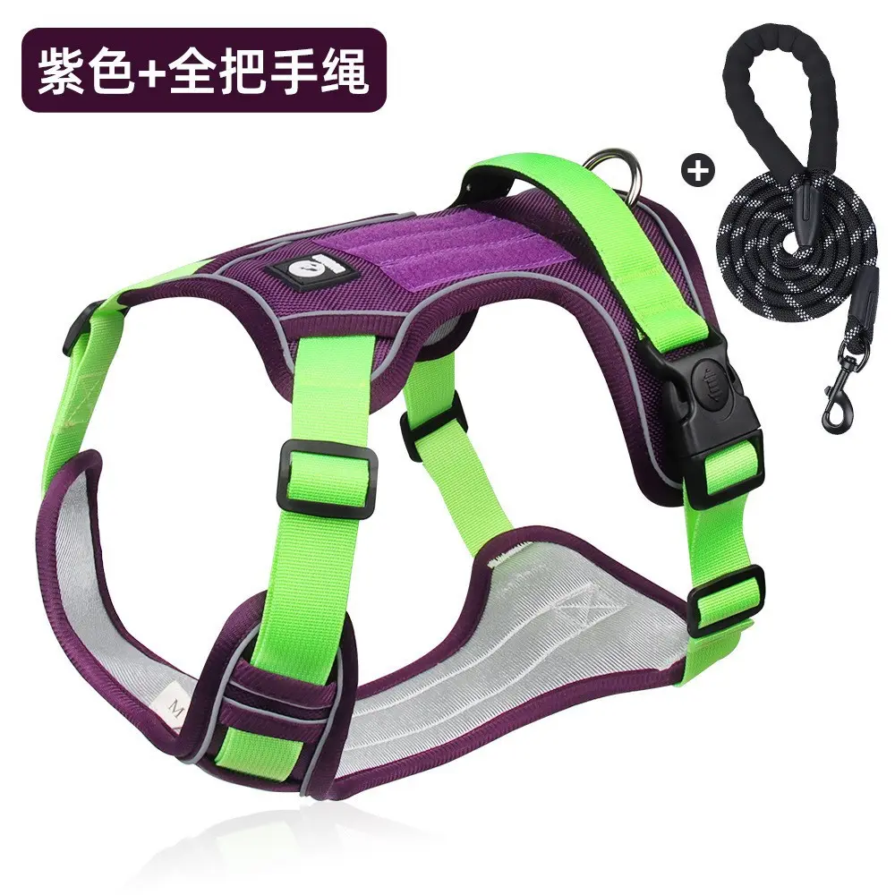 Purple harness + 2.0m reflective round rope