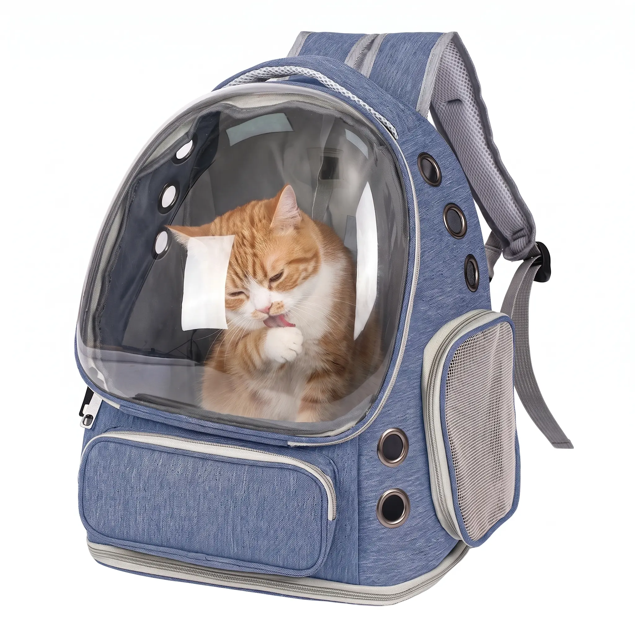 Airline Approved Pet Carrier Backpack, Transparent Space Capsule Dog Cat Travel Bag with Ventilation, Shockproof & Breathable, Soft Cushion, Portable Pet Backpack for Outdoor Hiking, Walking, Pet Travel Crater  , Suitable for Puppies & Cat