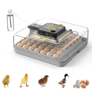 Egg Incubator with Temperature and Humidity Control, Automatic Egg Turner, Egg Candler, External Water Bottle Refill, Air Vent, 360° Clear View, Hatching Chicken Duck Quail Bird, 48 Egg