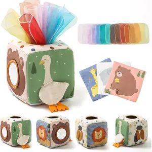 Baby Tissue Box Toy for Babies 6-12 Months, Montessori Sensory Toys for 1 Year Old Boy, Infant Toy with Crinkle Tissues & Fine Motor, for 6 9 12 18 Months Old Kids 1st Birthday, Sensory Cube
