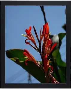 11x14 Picture Frame, Wooden Wall Art Frame for Photos, Puzzle Frame, Poster Frame Wall Mounting, Display Pictures 11x14 without Mat, Black