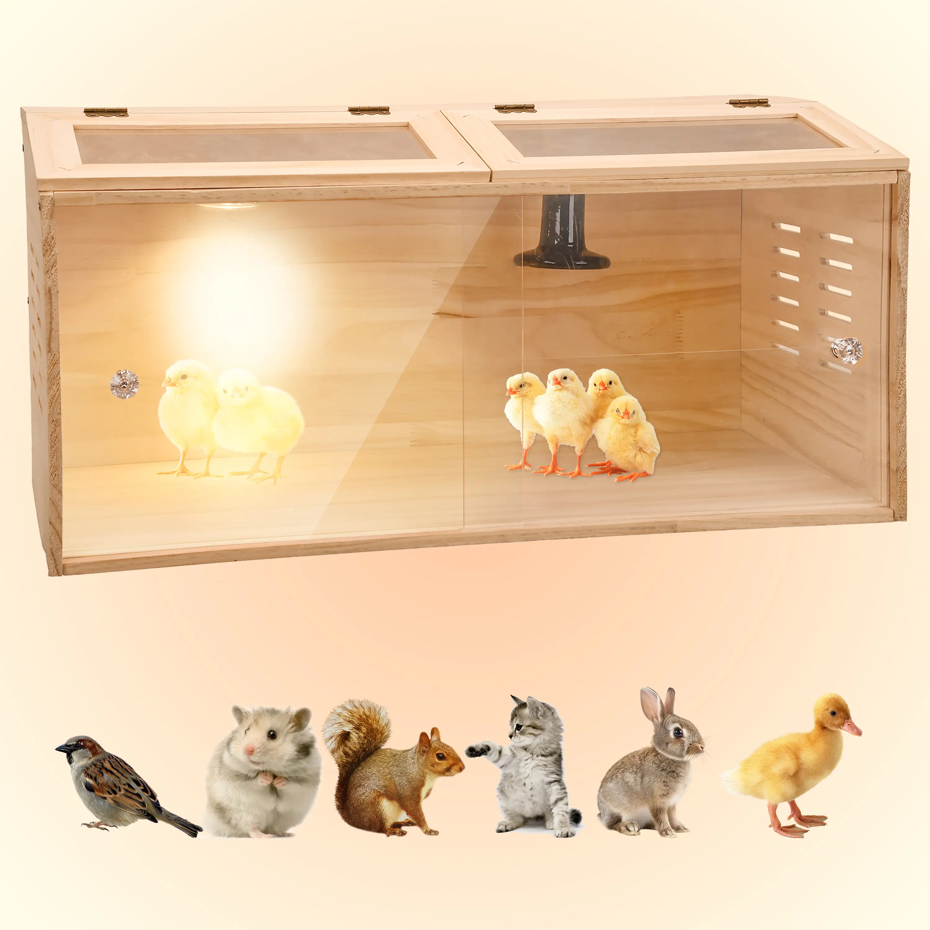 Brooder Box for Chicks, Chicken Brooder with Heater for Baby Poultry