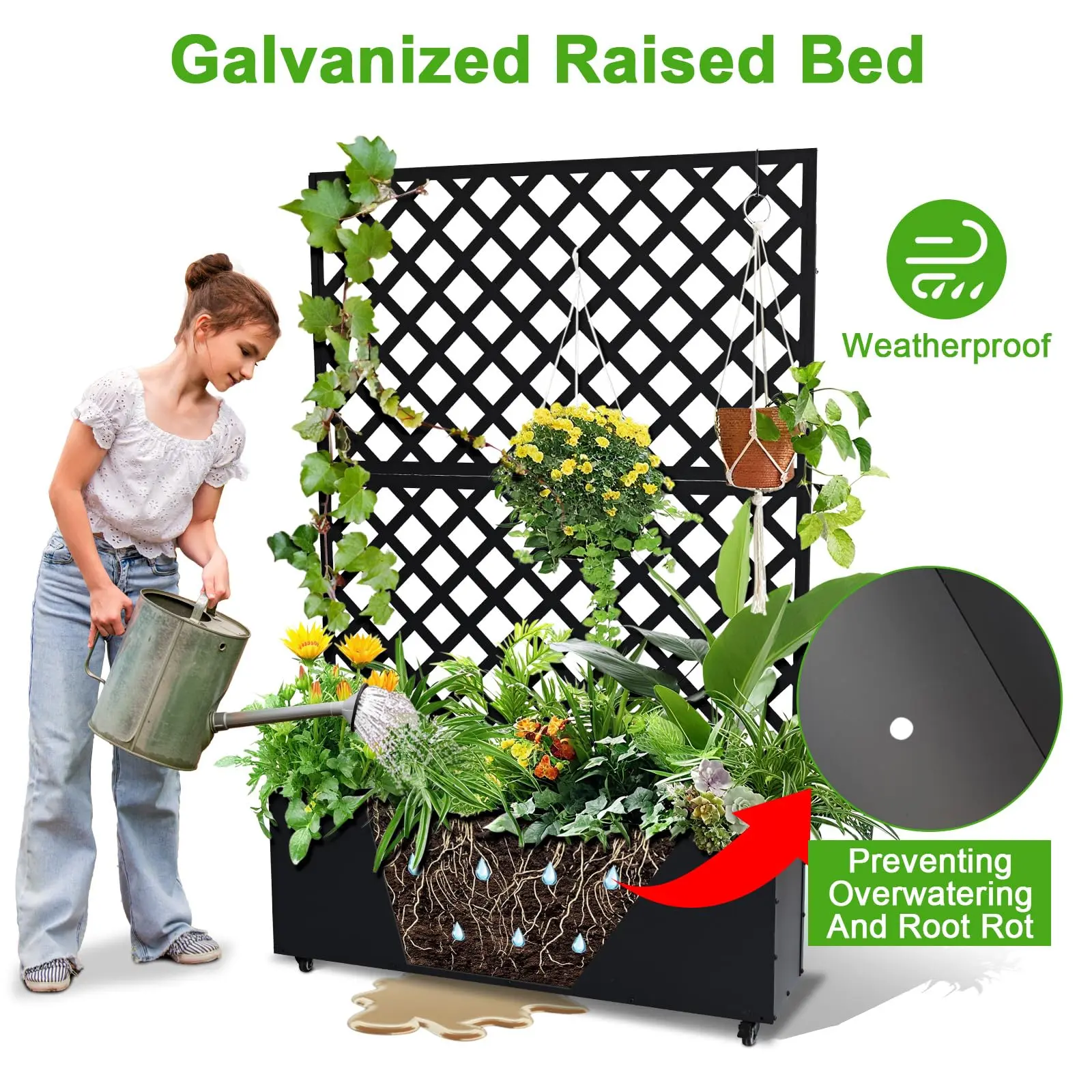 Galvanized Steel Raised Garden Bed with Trellis & Patio Privacy Screen, Rust-Resistant Elevated Planter Box with Drainage Holes, Rolling Wheels for Urban Gardens, Balcony Planter (71-73x47x12in)