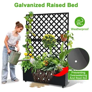 Galvanized Metal Raised Garden Bed with Trellis & Privacy Screen, Weatherproof Elevated Planter Box with Drainage Holes & Rolling Wheels, Perfect for Vegetables, Flowers & Climbing Plants, 71-73 x 47 x 12 Inches