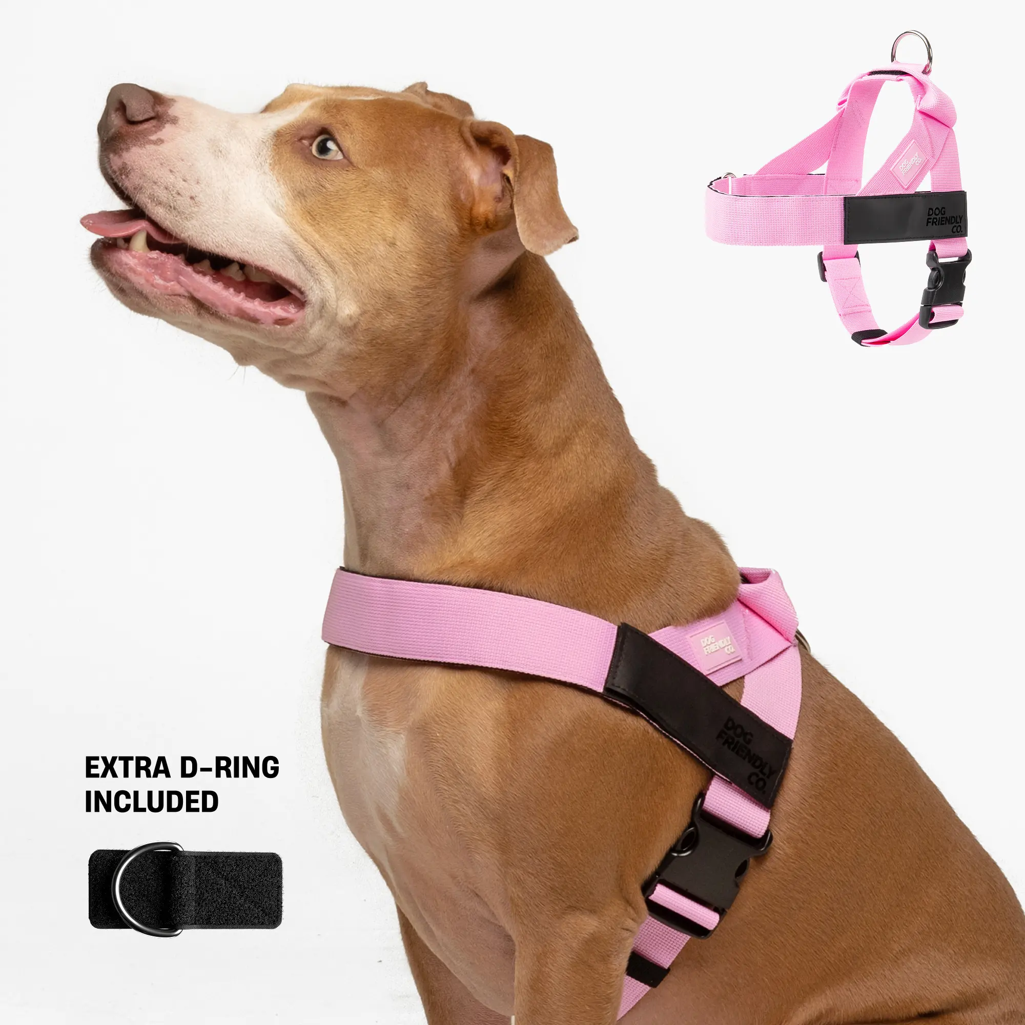 No Pull Dog Harness & D-Ring Bundle Pack, Harness Set with Leash Control - Dog Friendly CO No Pull Dog Harness & D-Ring Bundle Pack, Harness Set with Leash Control - Dog Friendly CO