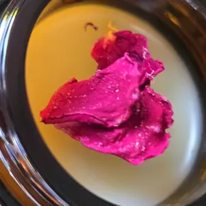Rose & Lemon Balm Lip Rescue Balm – All Natural Hydration That Lasts