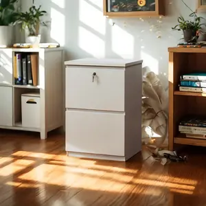 KOWO 2 Drawer Wood File Cabinet with Lock Secure Storage for Office Essentials & Documents Above 25 kg Capacity Practical Organization Solution