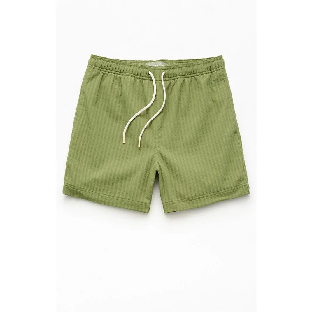 Pacsun Men's Green Hudson Striped 5.5" Swim Trunks
