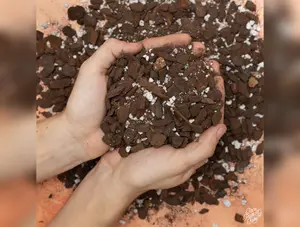 RPF Aroid Soil Mix 750g/32oz