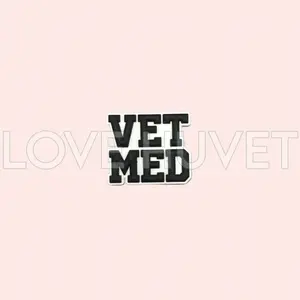 Vet Med Shoe Charm