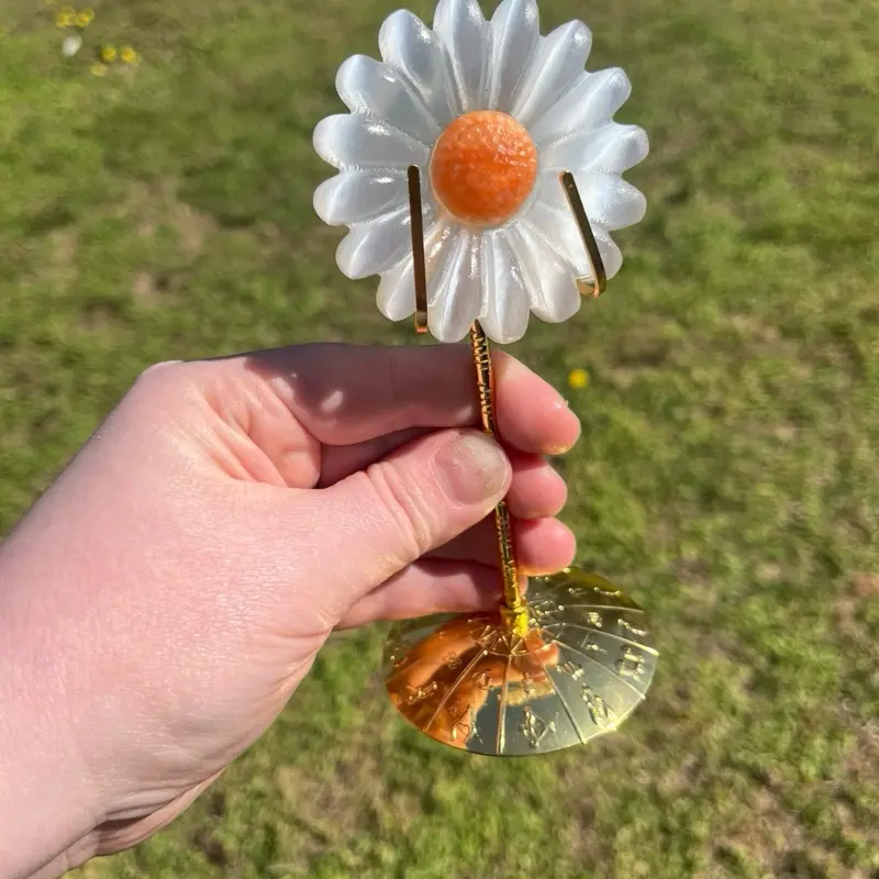 Selenite Daisy
