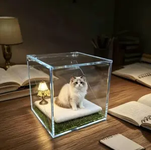 Pet Memory Keepsake Box with Custom Dog/Cat Statue, LED Lit Memorial Display Case --Death is not the end; forgetting is