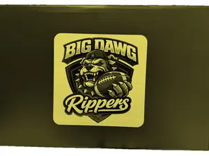 BIG DAWG SINGLE MYSTERY JERSEY BOX