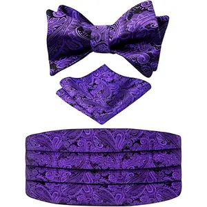 Alizeal Men's Paisley Cummerbund and UNTIED Bow Tie Hanky Set